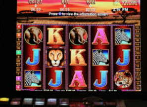 大小单双导师带赚包赔桌面版客户端