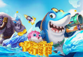 大小单双导师带赚包赔桌面版客户端