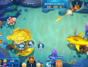 大小单双导师带赚包赔正式版